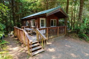 Отель South Jetty Camping Resort Cabin 1  Florence